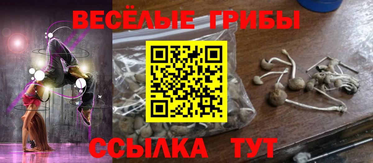 Галлюциногенные грибы Magic Shrooms  Псилоцибиновые грибы MAGIC MUSHROOMS  Вход с VPN  Лыткарино 